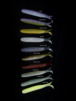 Cramp Shad with color titles
